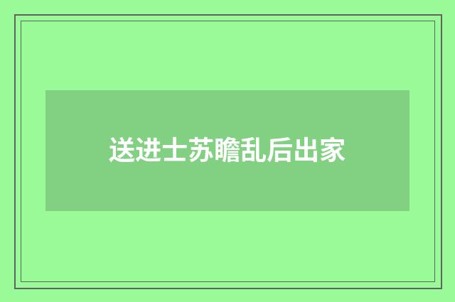 送进士苏瞻乱后出家