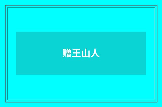 赠王山人