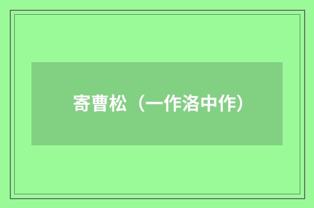 寄曹松（一作洛中作）