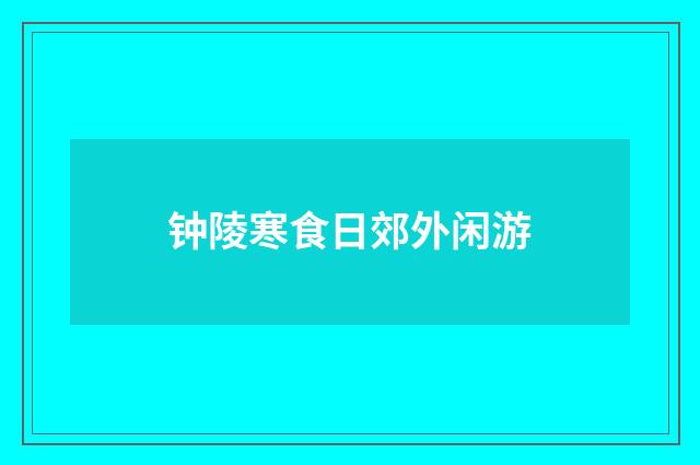 钟陵寒食日郊外闲游