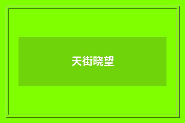 天街晓望