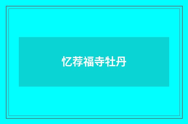 忆荐福寺牡丹