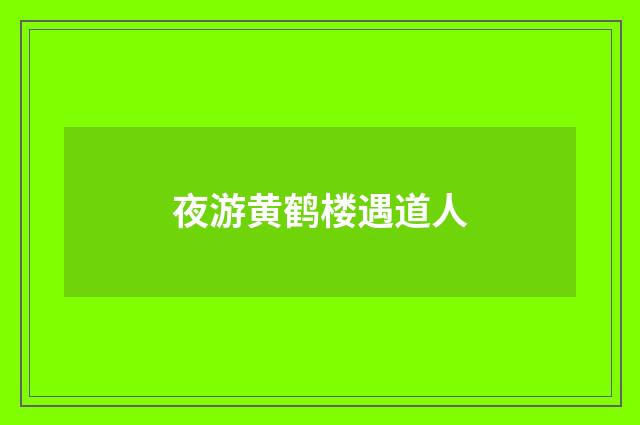 夜游黄鹤楼遇道人