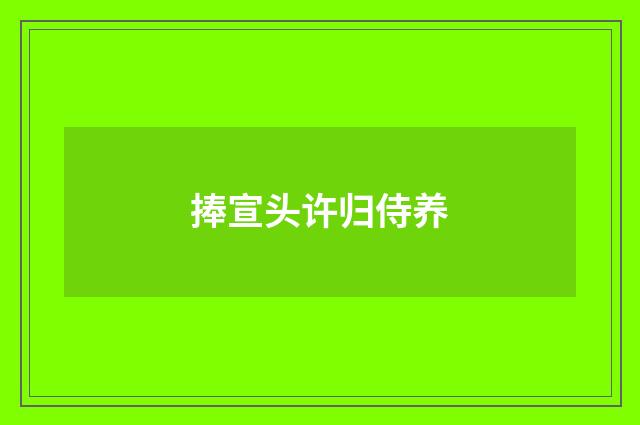 捧宣头许归侍养