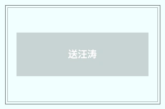 送汪涛