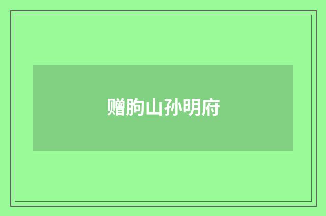 赠朐山孙明府