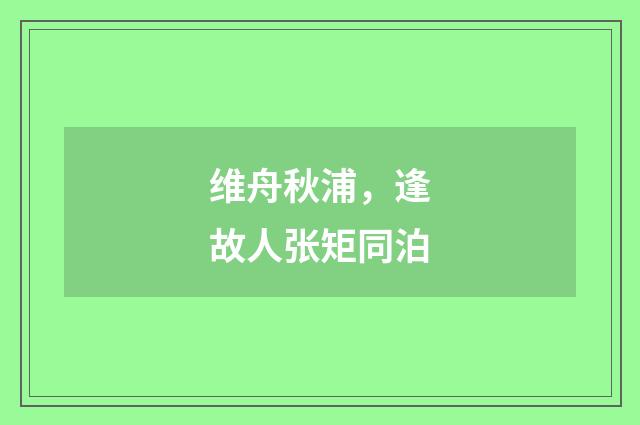 维舟秋浦，逢故人张矩同泊