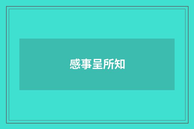 感事呈所知