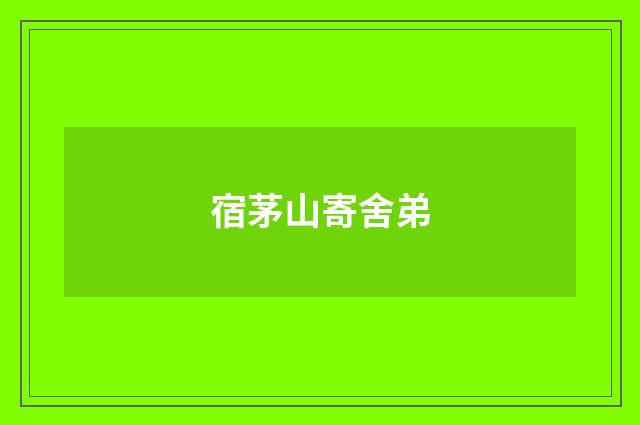 宿茅山寄舍弟