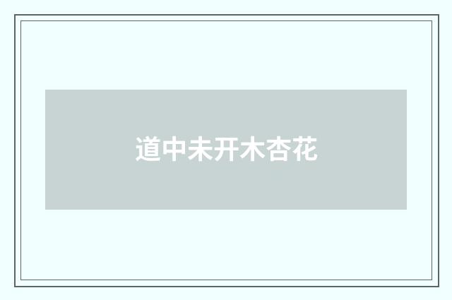 道中未开木杏花