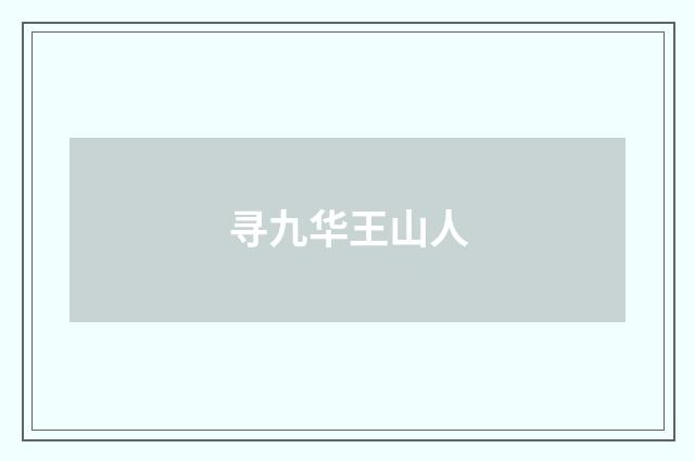 寻九华王山人