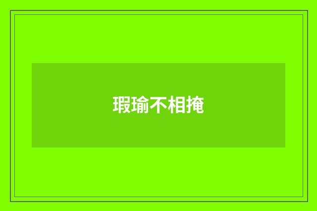 瑕瑜不相掩