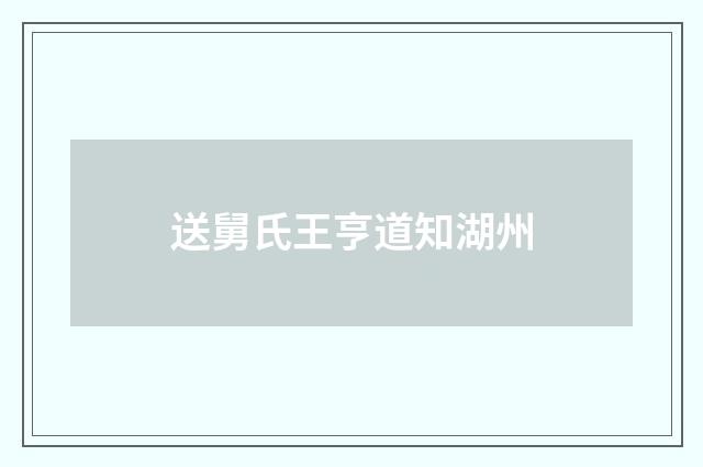 送舅氏王亨道知湖州
