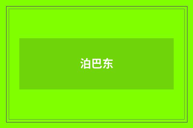 泊巴东