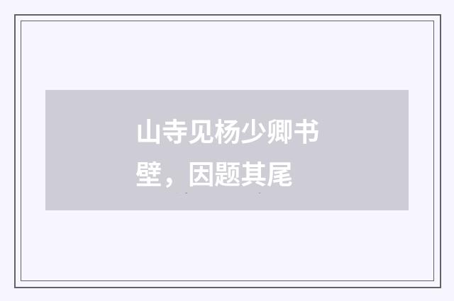 山寺见杨少卿书壁，因题其尾