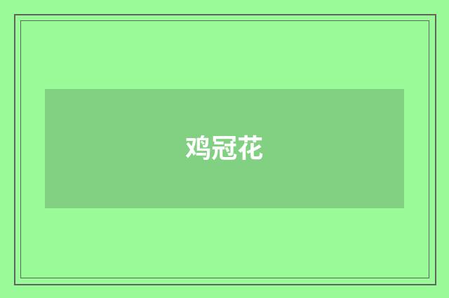 鸡冠花