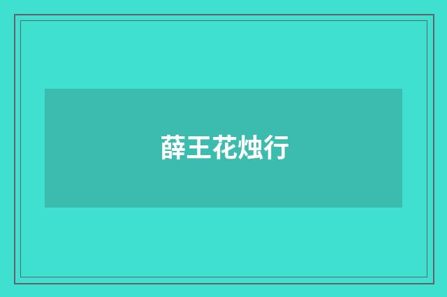 薛王花烛行
