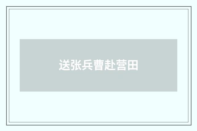 送张兵曹赴营田