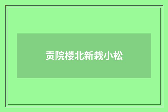 贡院楼北新栽小松