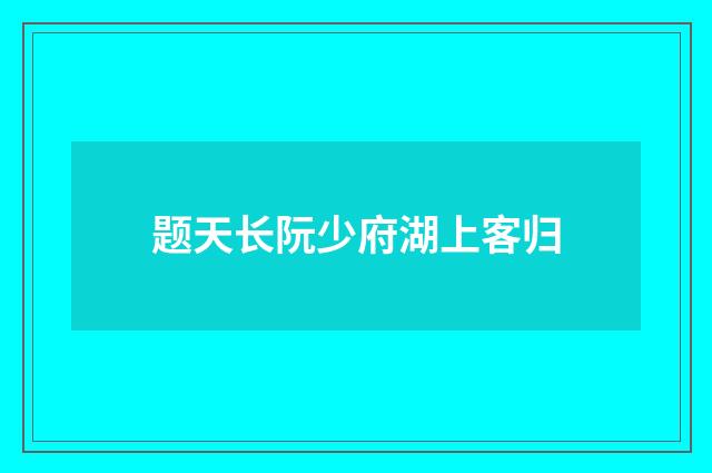 题天长阮少府湖上客归