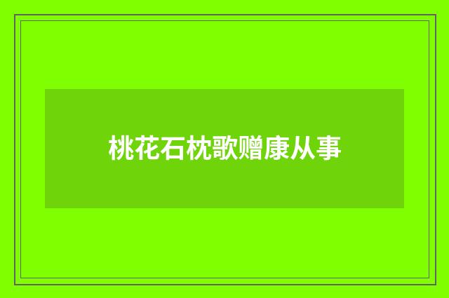 桃花石枕歌赠康从事