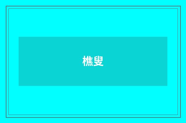 樵叟