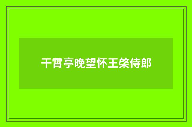 干霄亭晚望怀王棨侍郎