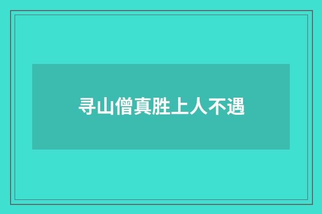 寻山僧真胜上人不遇