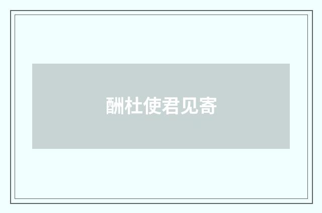 酬杜使君见寄