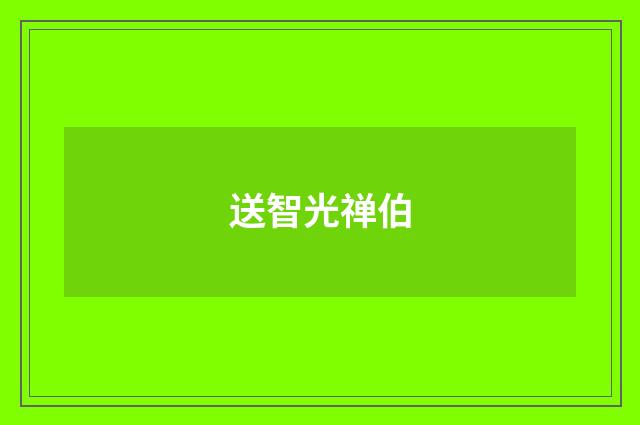 送智光禅伯