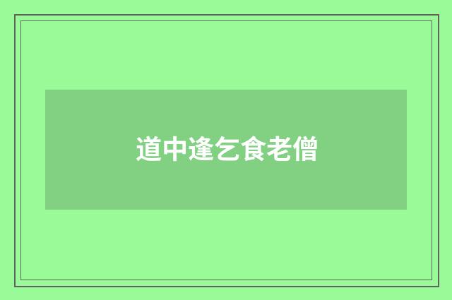 道中逢乞食老僧