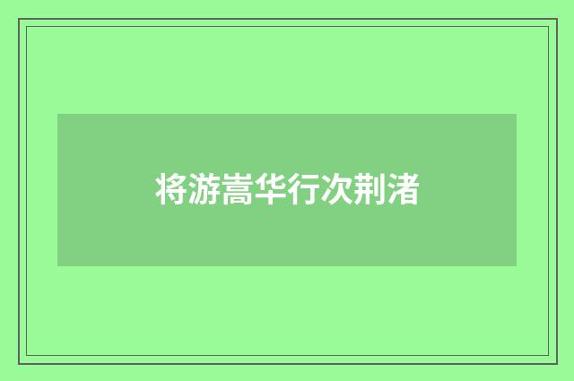 将游嵩华行次荆渚