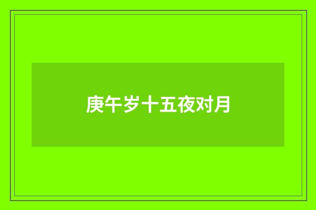 庚午岁十五夜对月