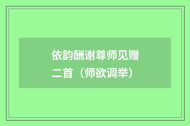 依韵酬谢尊师见赠二首（师欲调举）