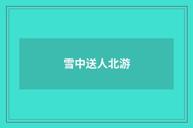 雪中送人北游