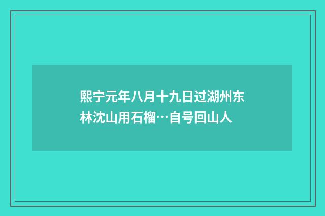 熙宁元年八月十九日过湖州东林沈山用石榴…自号回山人