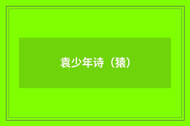 袁少年诗（猿）