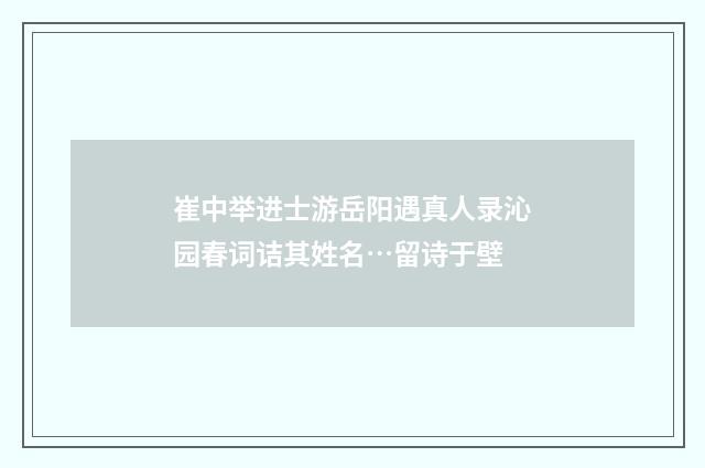 崔中举进士游岳阳遇真人录沁园春词诘其姓名…留诗于壁