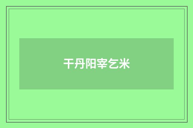 干丹阳宰乞米