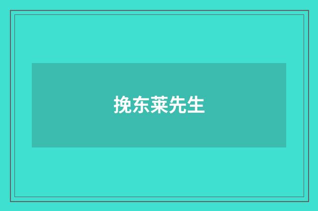 挽东莱先生
