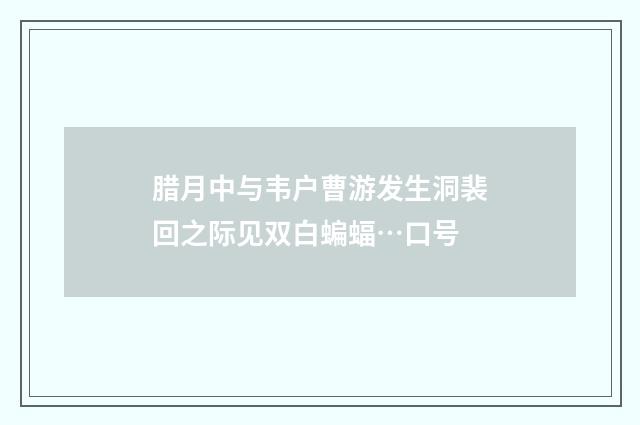 腊月中与韦户曹游发生洞裴回之际见双白蝙蝠…口号