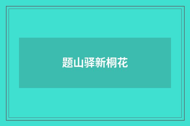题山驿新桐花