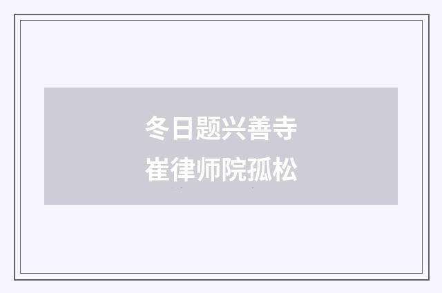 冬日题兴善寺崔律师院孤松