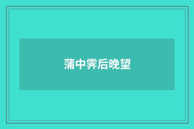 蒲中霁后晚望