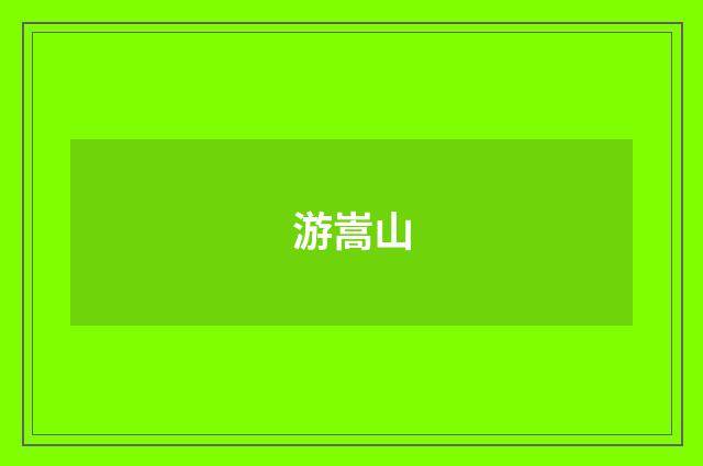 游嵩山