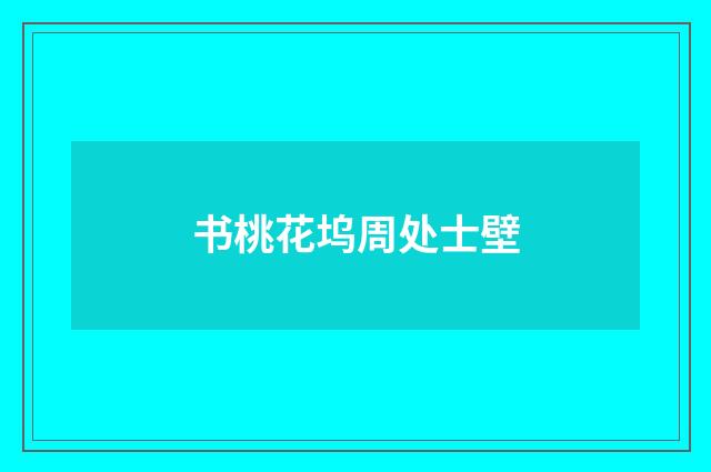 书桃花坞周处士壁