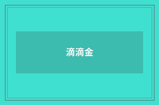 滴滴金