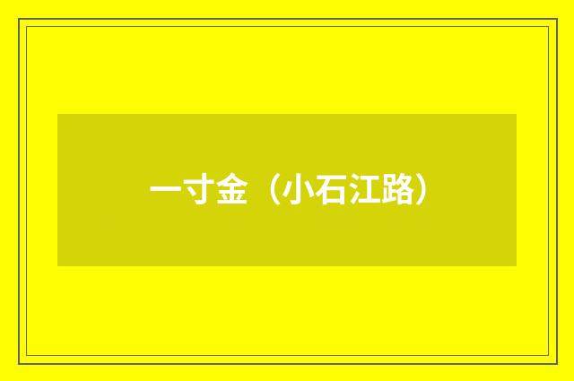 一寸金（小石江路）