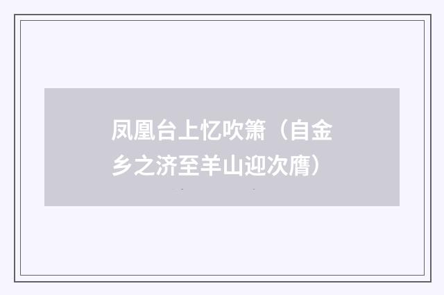 凤凰台上忆吹箫（自金乡之济至羊山迎次膺）