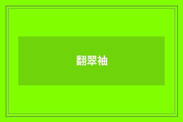 翻翠袖